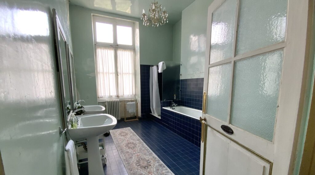 large hall bathroom with shower and double sinks